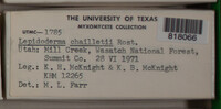 Image Associated With the Occurence